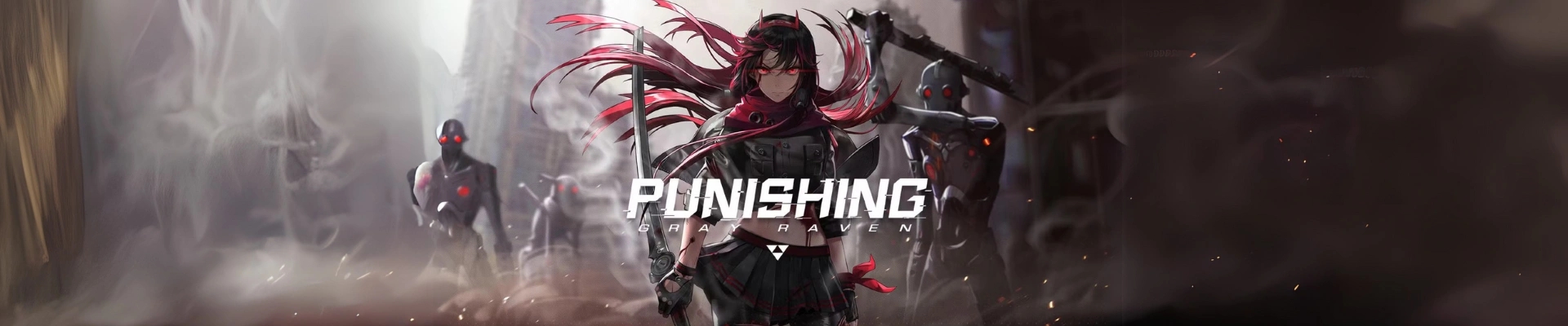 Punishing : Gray Raven